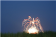 Firework
