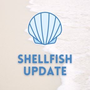 shellfish updates thumbnail