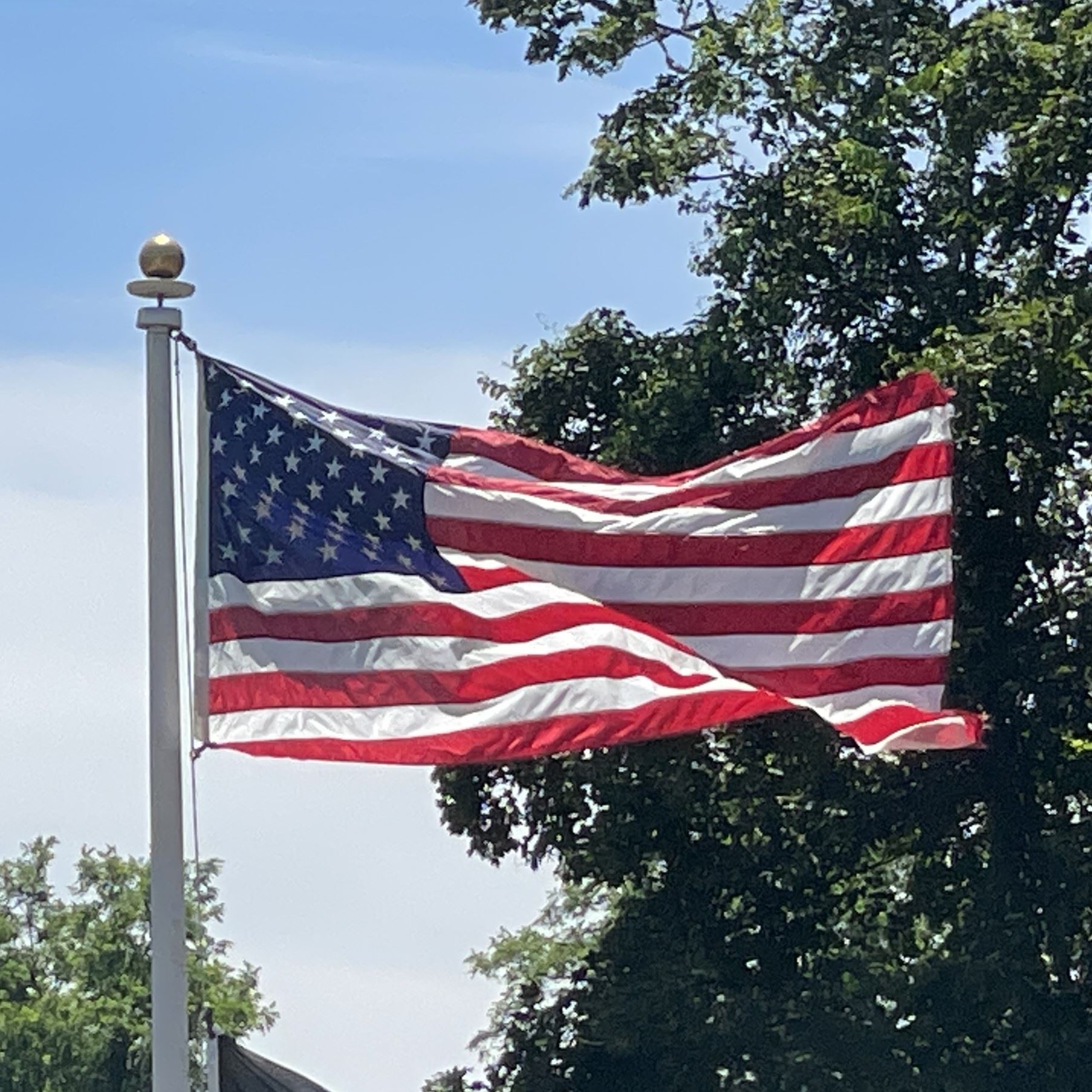 American Flag 4 square